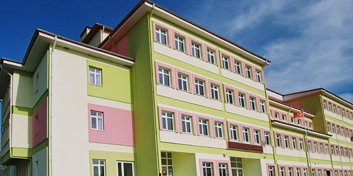 CEVAT ALDEMİR PRIMARY SCHOOL